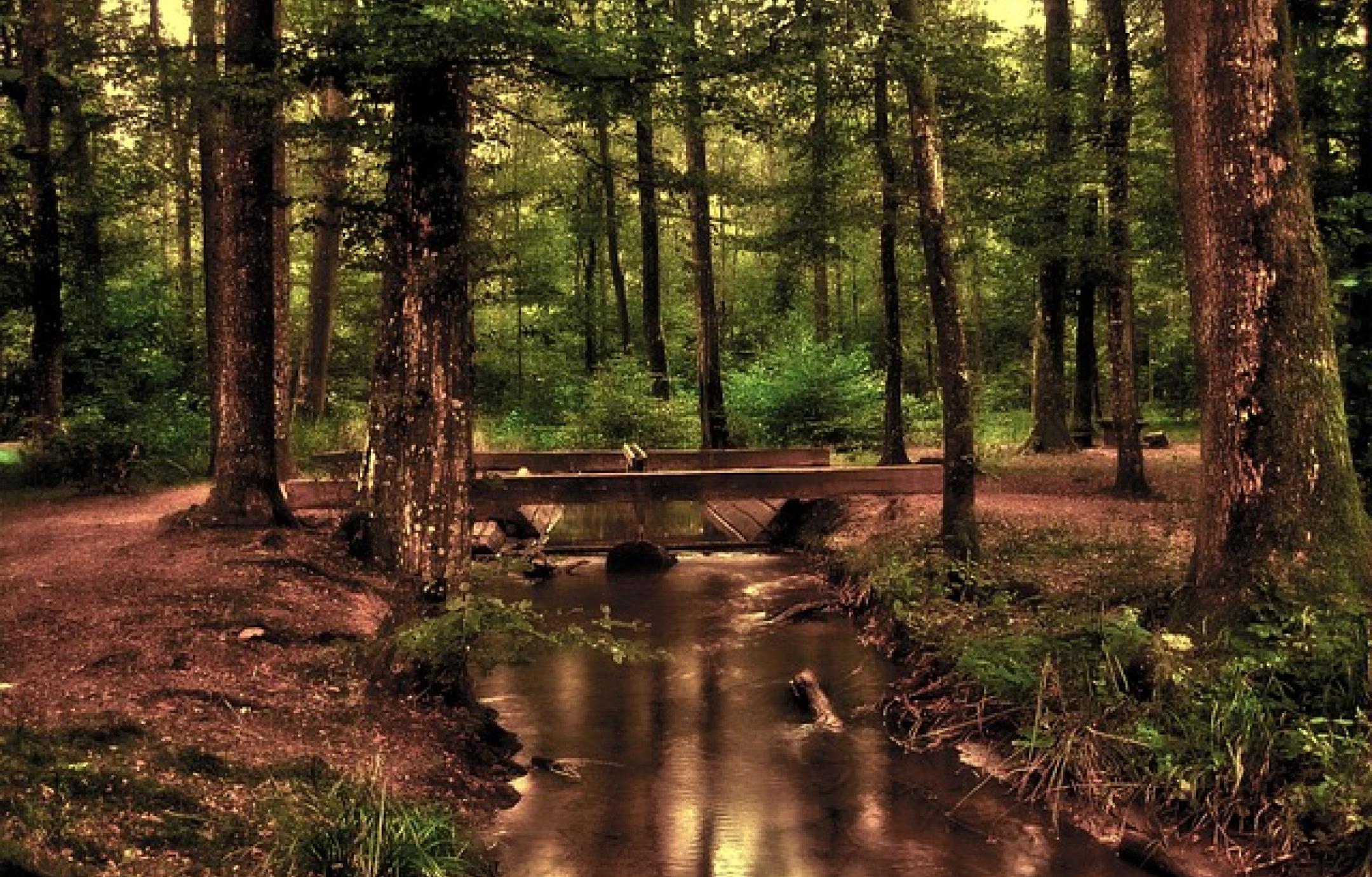 Interim Projectmanager Accounting & Reporting