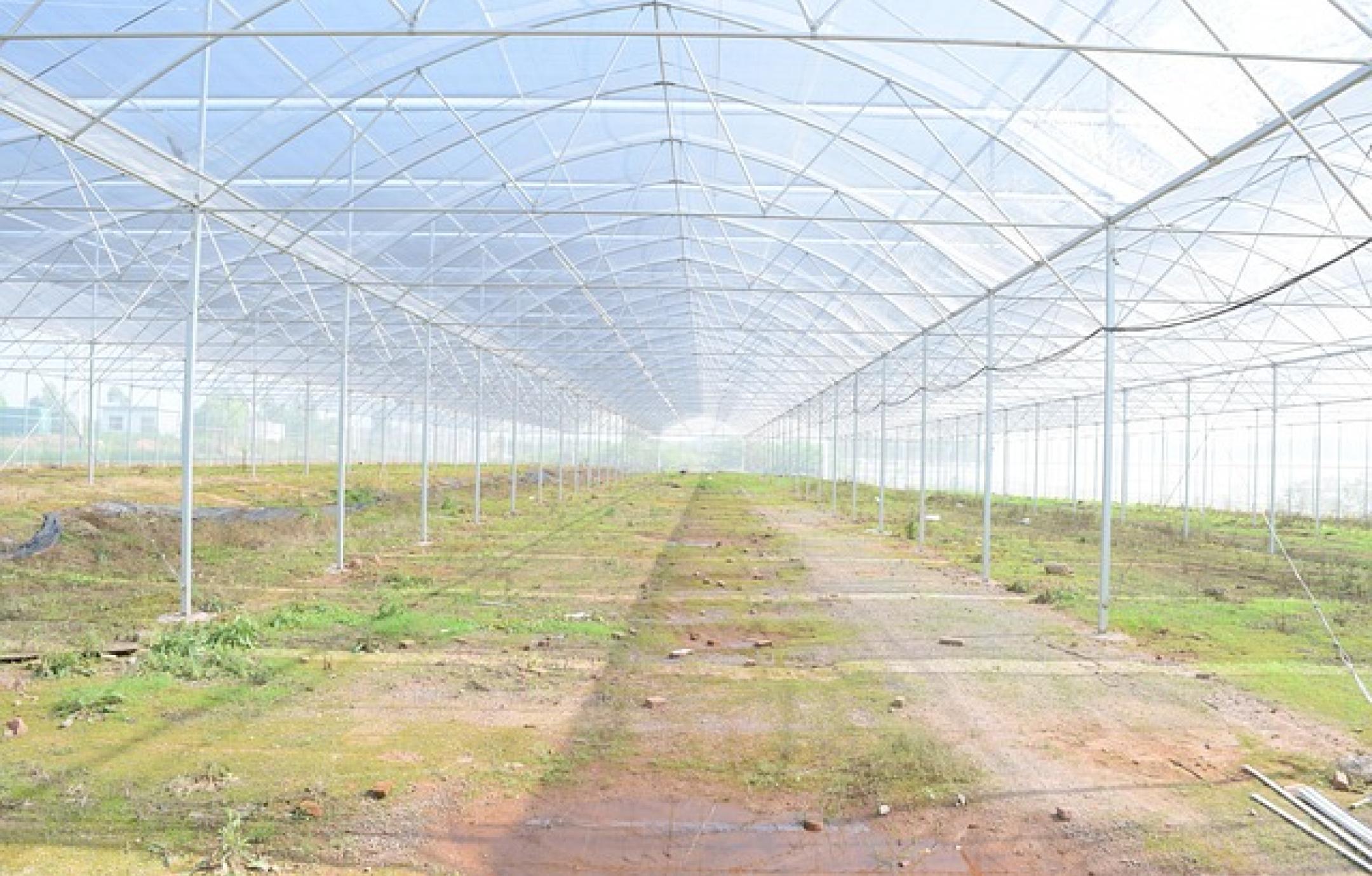 Senior Financial Controller